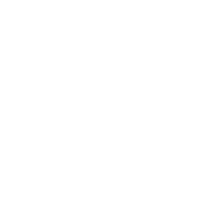 White canoe graphic