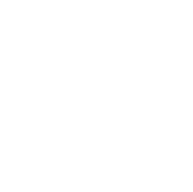 Shoe icon on transparent background