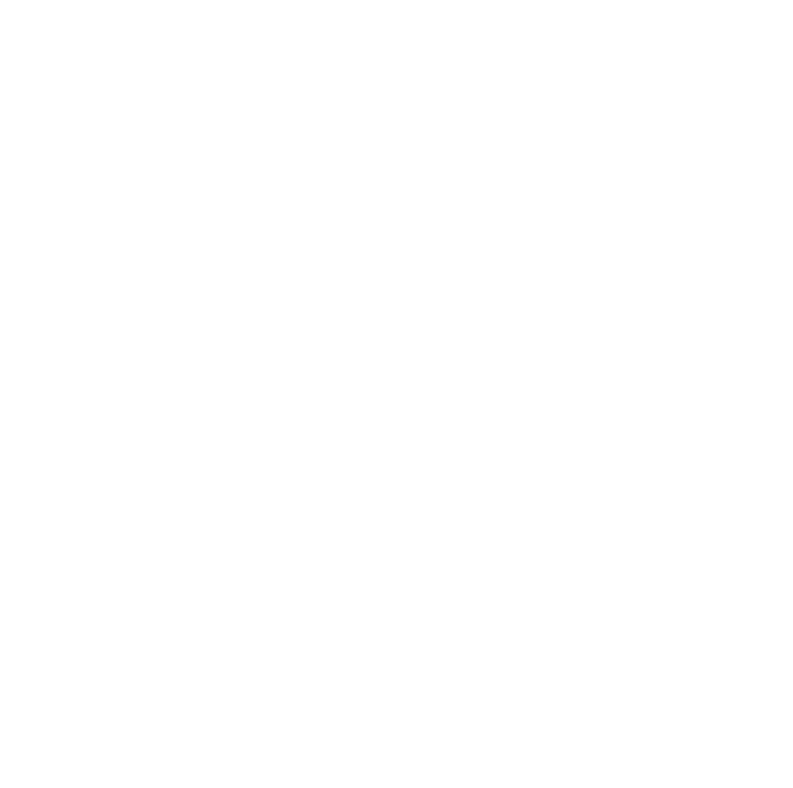 Map icon